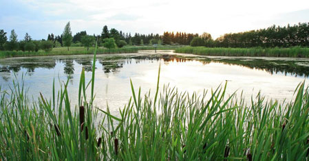 Lloydminster Golf and Country Club